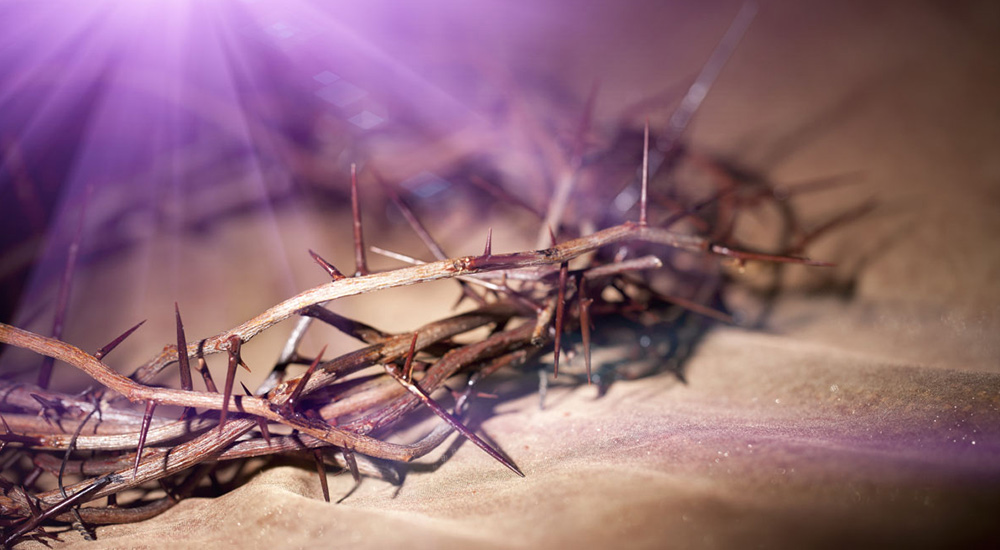 第07讲 要怎样钉死“自我”? 第7张 第07讲 要怎样钉死“自我”? 第7张