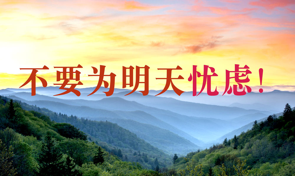 不要为明天忧虑！  第1张