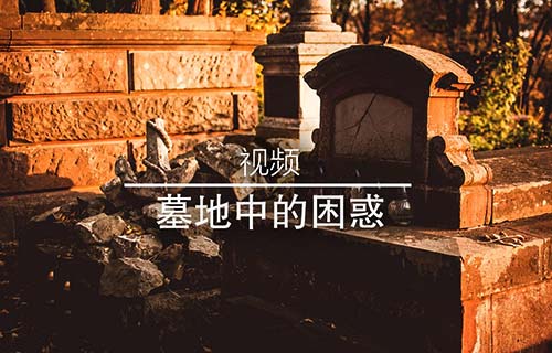墓地中的困惑！