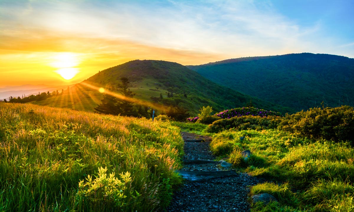 第12章 不问前程,凭信而行