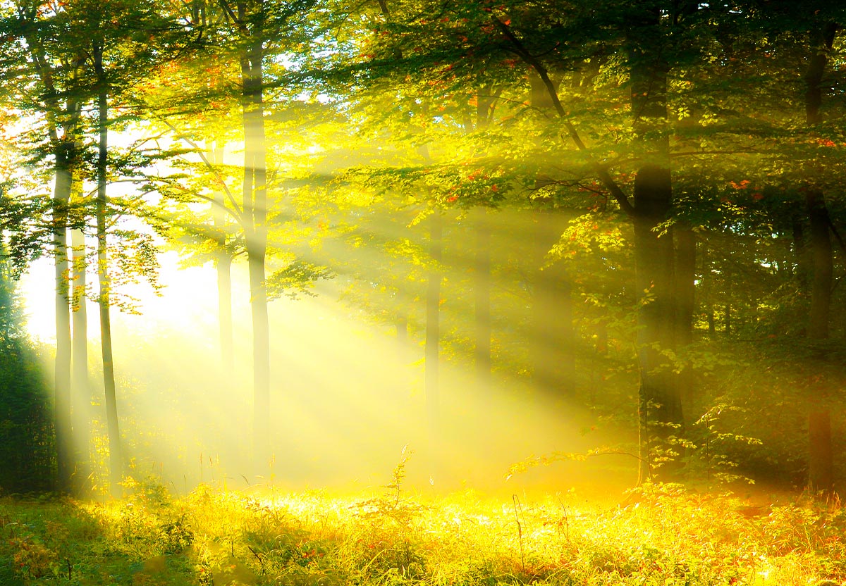 如何走出属灵生命的低谷！  第9张