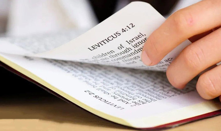 “字句”与“精意”到底是指什么？