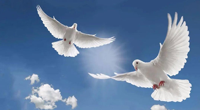 “字句”与“精意”到底是指什么?  第7张 “字句”与“精意”到底是指什么?  第7张