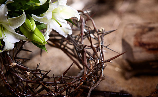 颠覆世界的爱-第1讲  第6张 颠覆世界的爱-第1讲  第6张