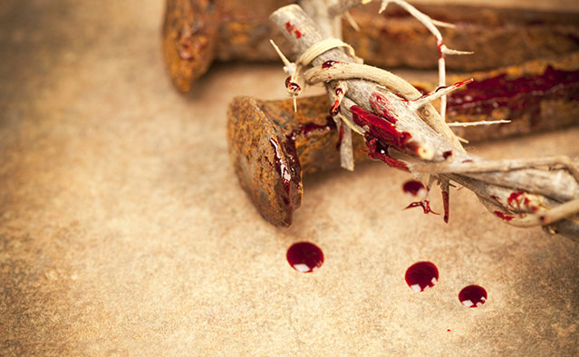 颠覆世界的爱-第2讲  第6张