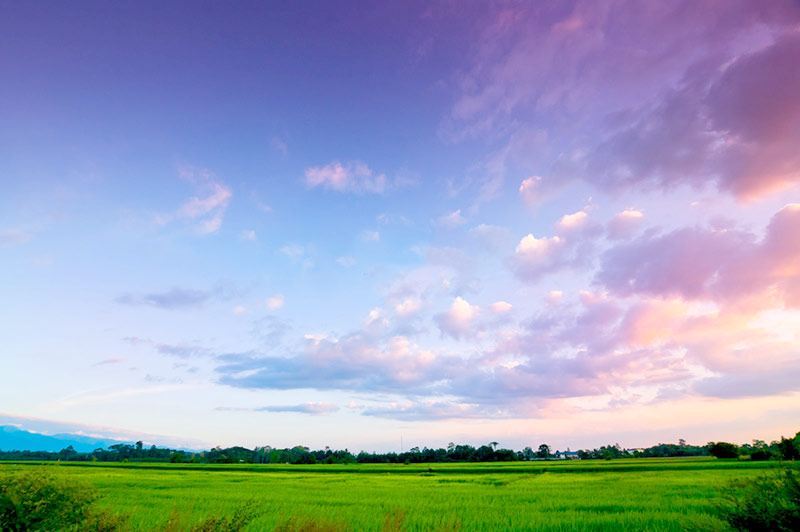 人们最需要的是什么道？