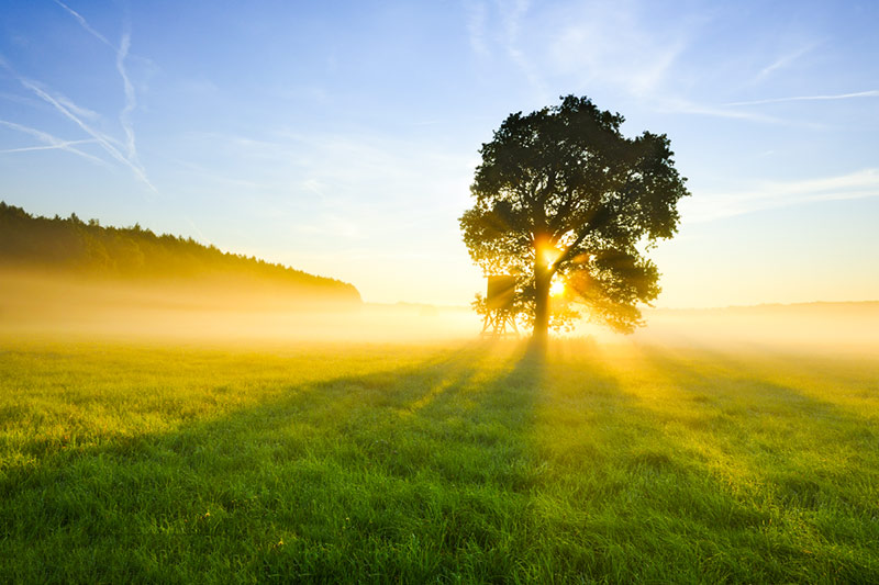 人们最需要的是什么道？