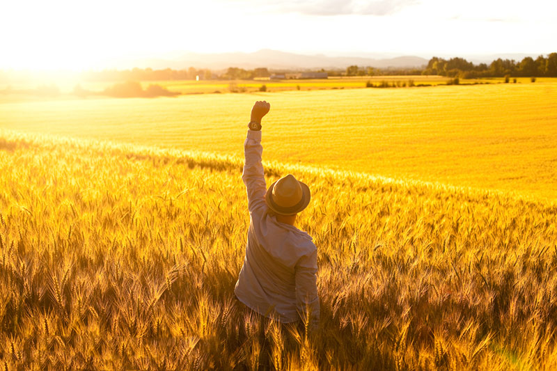 人们最需要的是什么道？