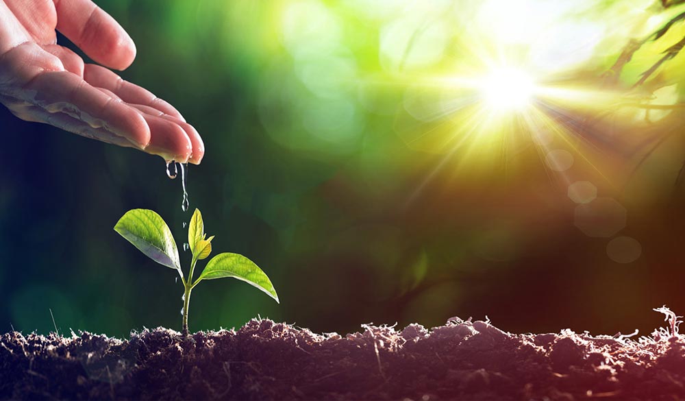 平衡的真理:称义+成圣=救赎  第9张 平衡的真理:称义+成圣=救赎  第9张