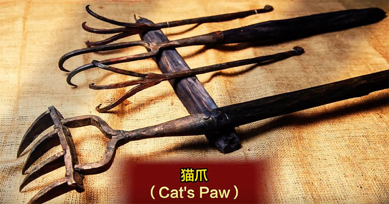 罗马天主教的起源与巴比伦的真相！  第51张