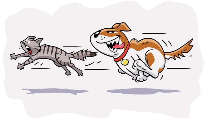 属灵争战的死结:我喜欢罪,怎么办? 第4张 属灵争战的死结:我喜欢罪,怎么办? 第4张