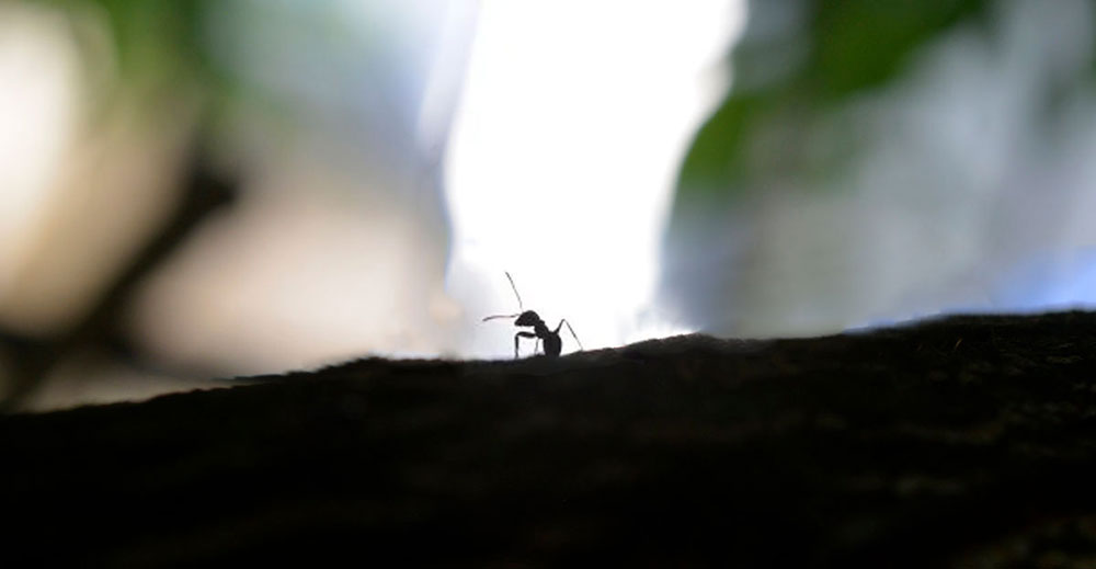 末日求生,八字真言! 第5张 末日求生,八字真言! 第5张