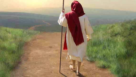 在末日风暴中站立！  第22张