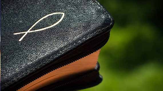 在末日风暴中站立！  第17张