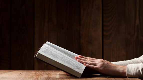 在末日风暴中站立！  第10张