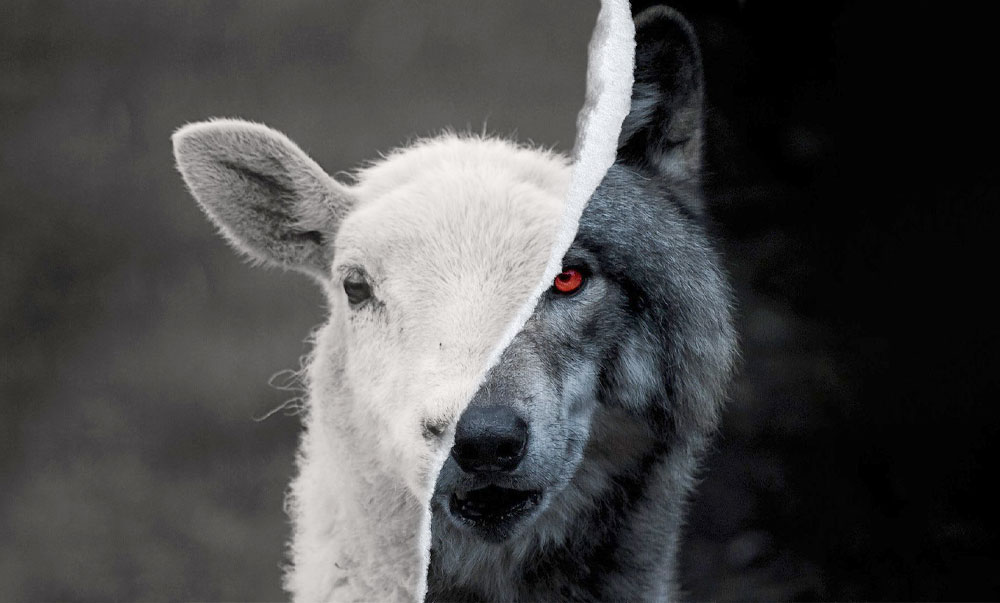 2023-给基督徒的七个建议!  第5张 2023-给基督徒的七个建议!  第5张