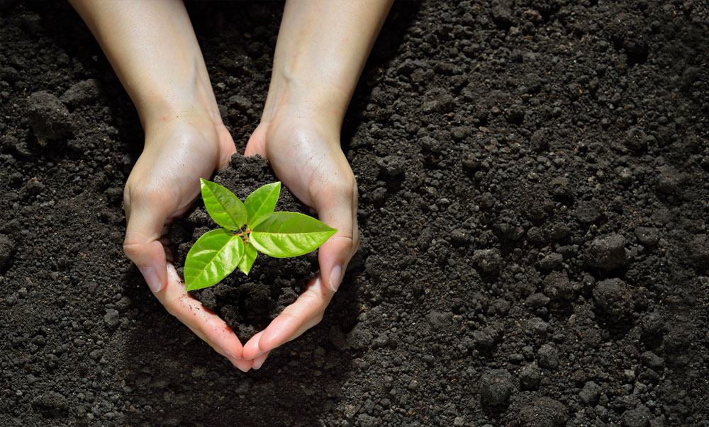 2023-给基督徒的七个建议!  第15张 2023-给基督徒的七个建议!  第15张