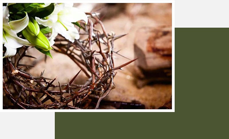 对此，我们每天思想一万遍也不多！