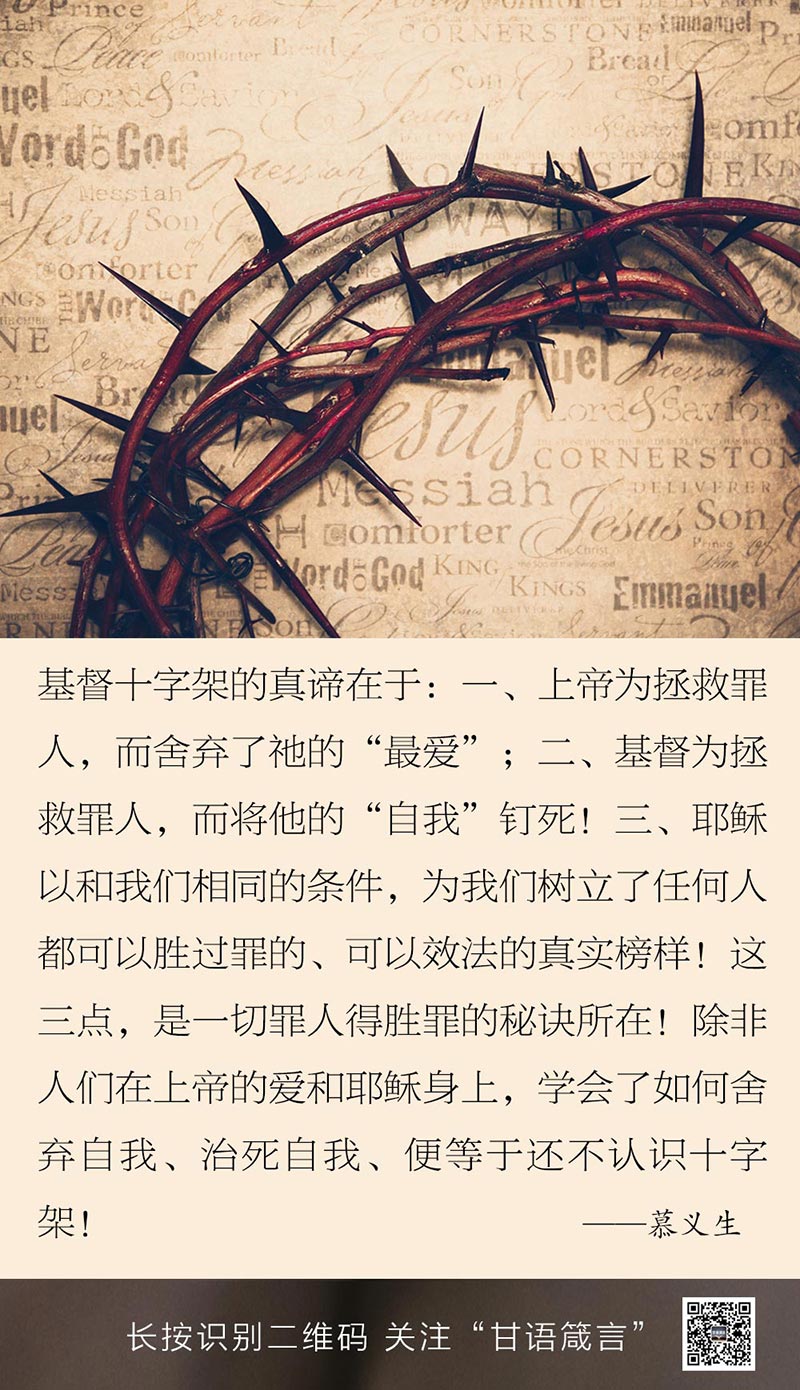 你若真爱灵魂,怎么可能不知道他们需要什么呢?  第3张 你若真爱灵魂,怎么可能不知道他们需要什么呢?  第3张