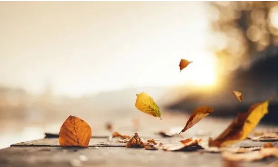 弟兄姊妹，你要往哪里去？  第3张