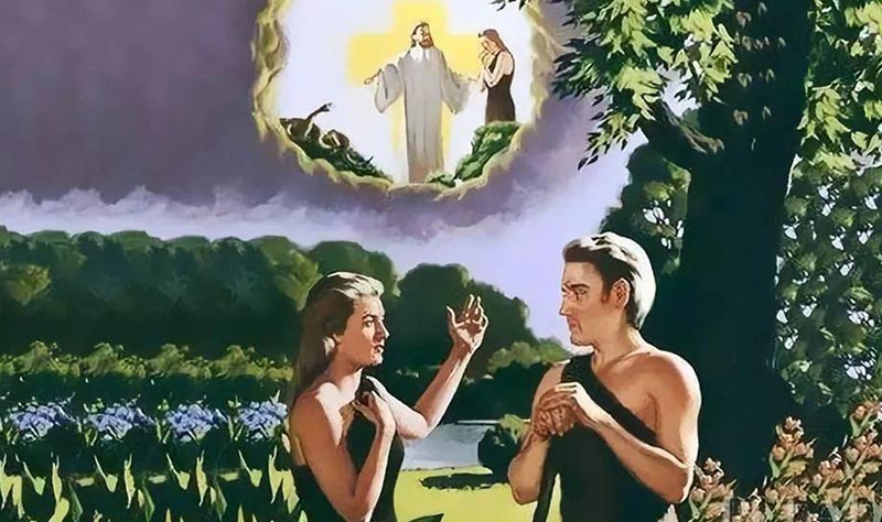 一个有关“女人”的真相！  第10张