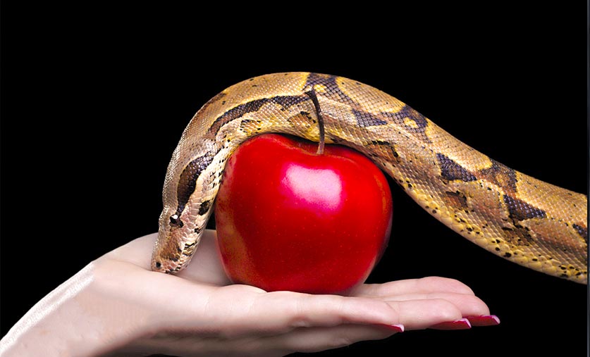 “灵魂”和“阴间”的真相！  第5张