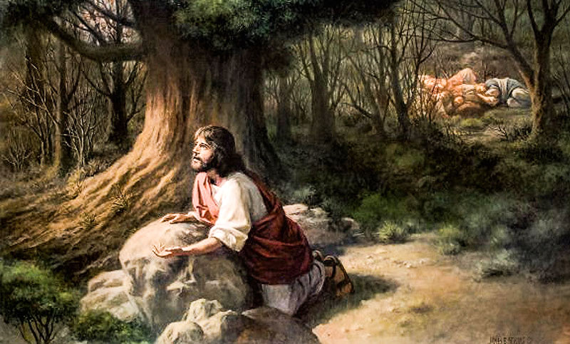 真假福音的五大区别-第5讲  第4张 真假福音的五大区别-第5讲  第4张