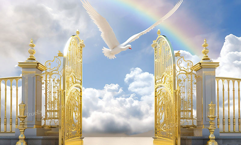 真假福音的五大区别-第5讲  第8张 真假福音的五大区别-第5讲  第8张