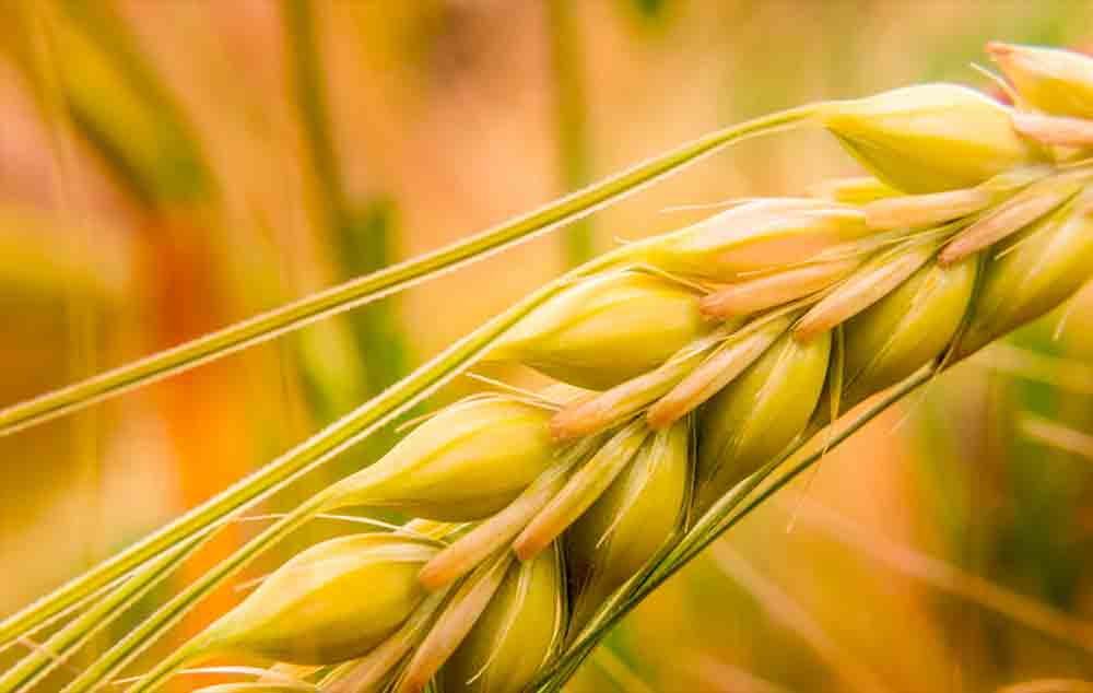 安息-圣经中最神圣的邀请！  第12张