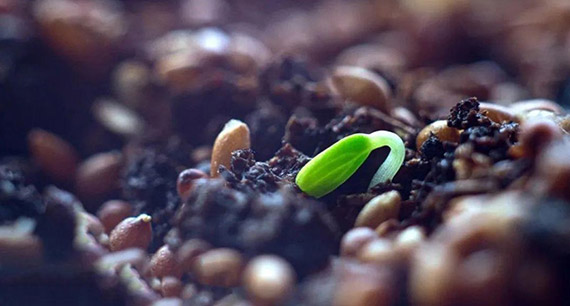 第1-2讲 十字架的真相！  第6张