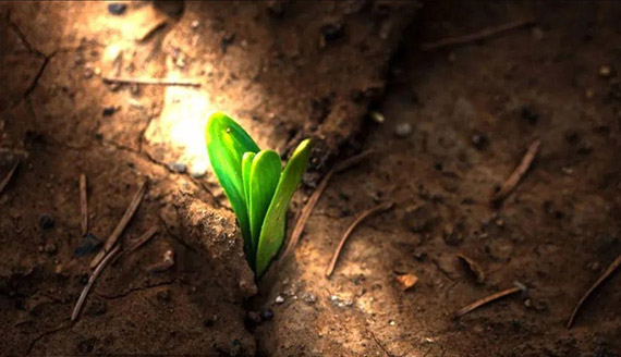 第05讲 不背十架，哪来永生?  第3张